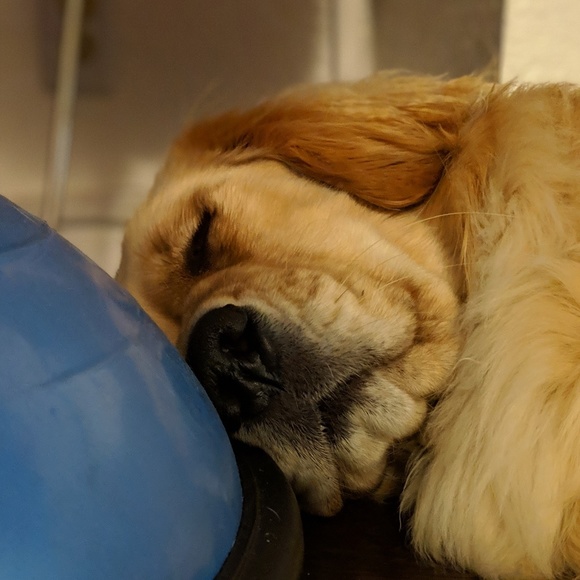 Meet your Posher - Picture 1 of 1